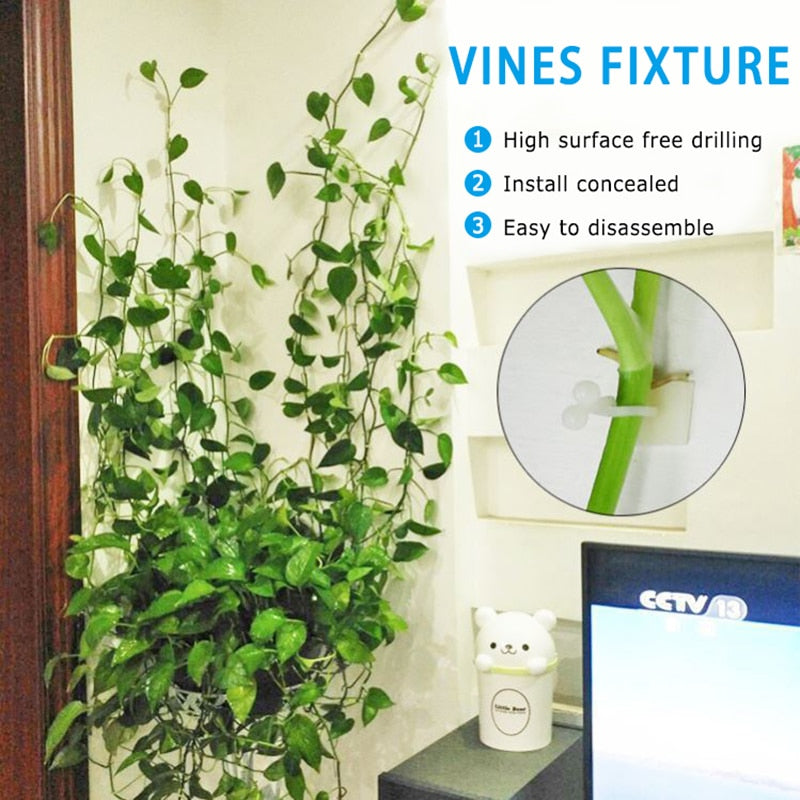 Plant Climbing Wall Fixture - LivinJoyfully365