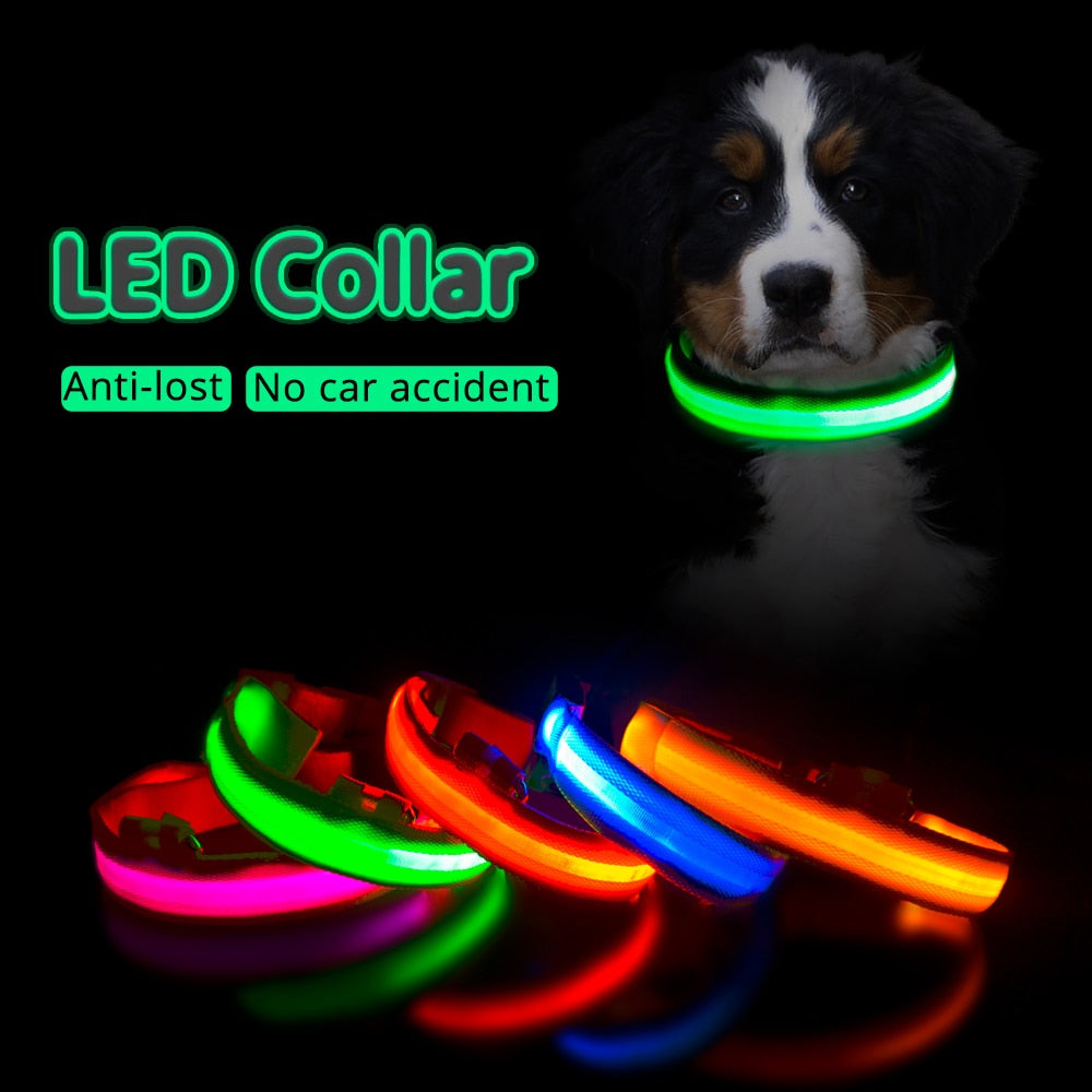 Anti-Lost/Avoid Car Accident Collar