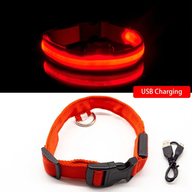 Anti-Lost/Avoid Car Accident Collar