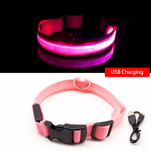 Anti-Lost/Avoid Car Accident Collar