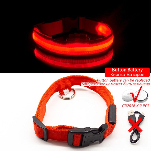 Anti-Lost/Avoid Car Accident Collar