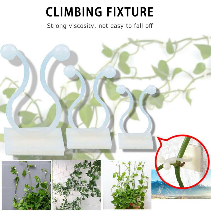 Plant Climbing Wall Fixture - LivinJoyfully365